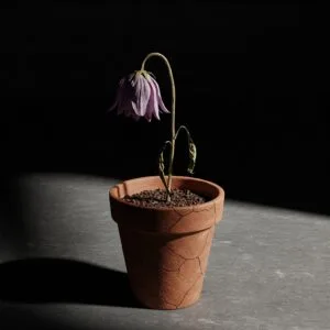 A Wilting Future?